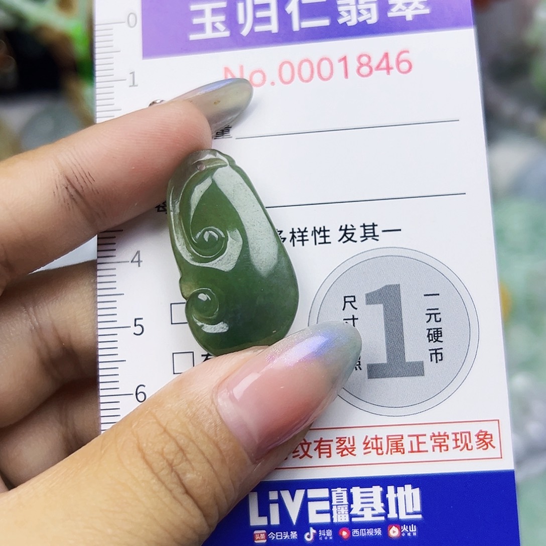 翡翠未镶嵌颈饰1111