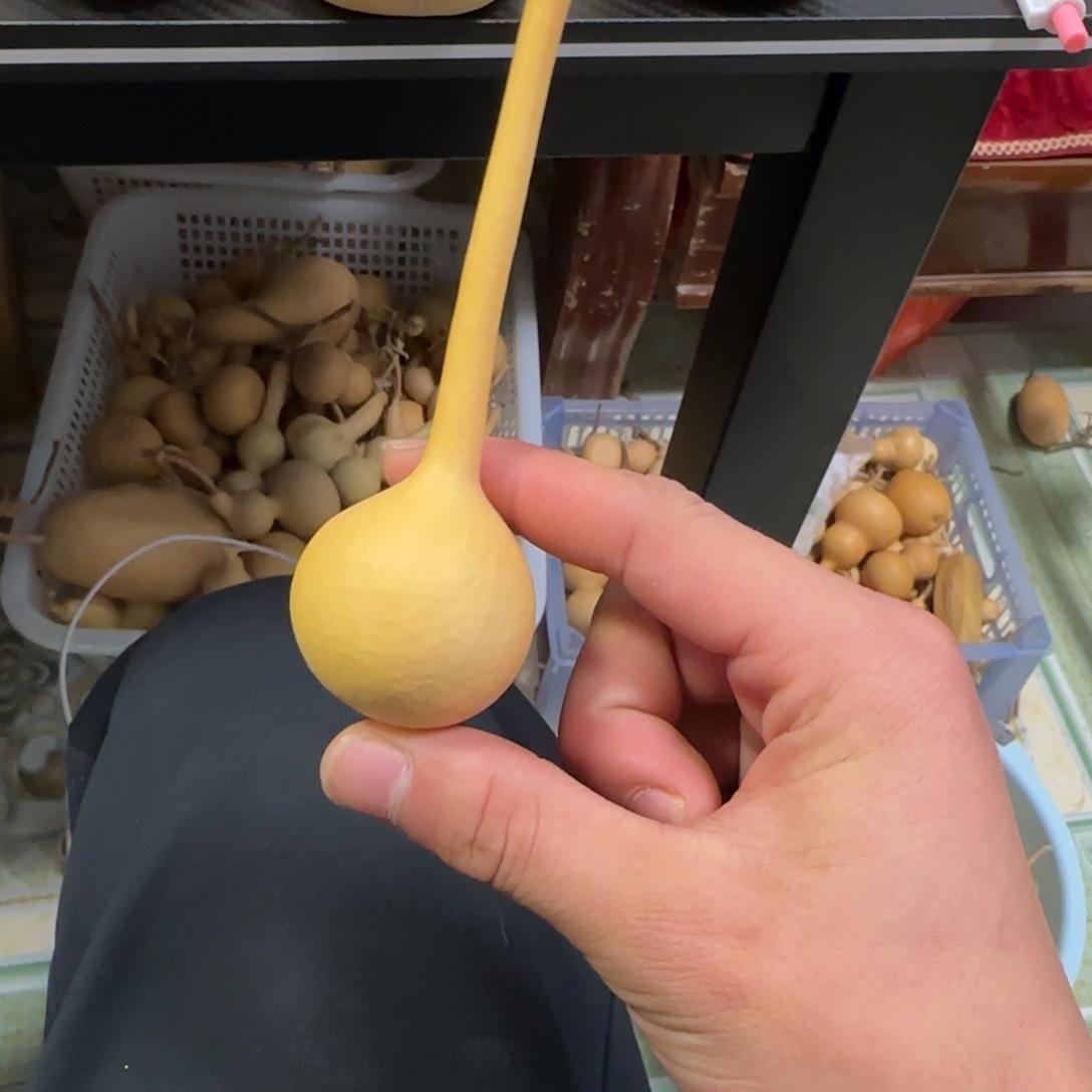 鱼***～有机玻璃葫芦葫芦葫芦葫芦