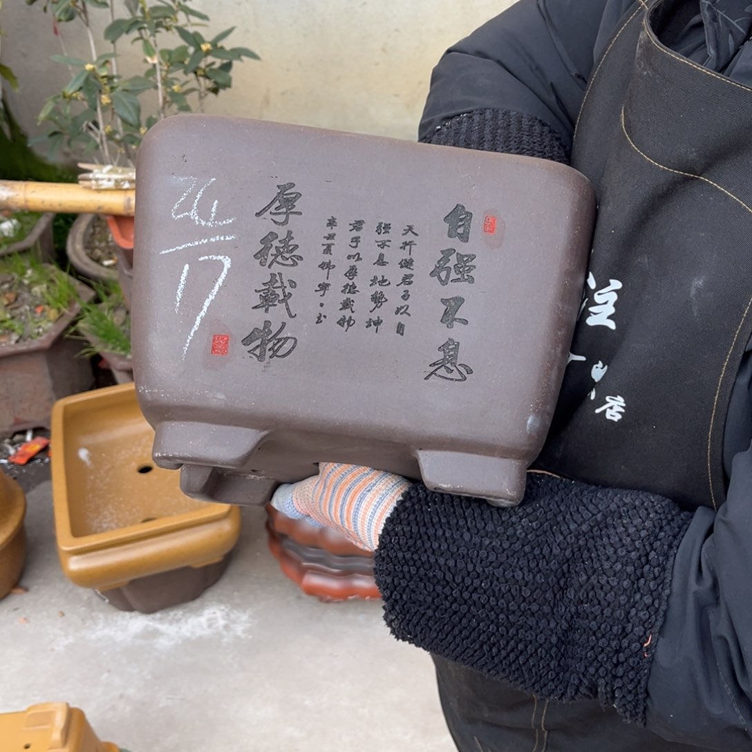 紫砂花盆盆景艺术