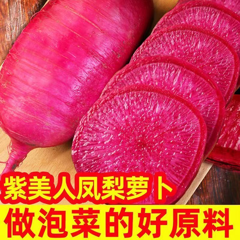 新鲜凤梨水果萝卜脆甜紫美人水果型萝卜自家沙地种植紫萝卜5斤