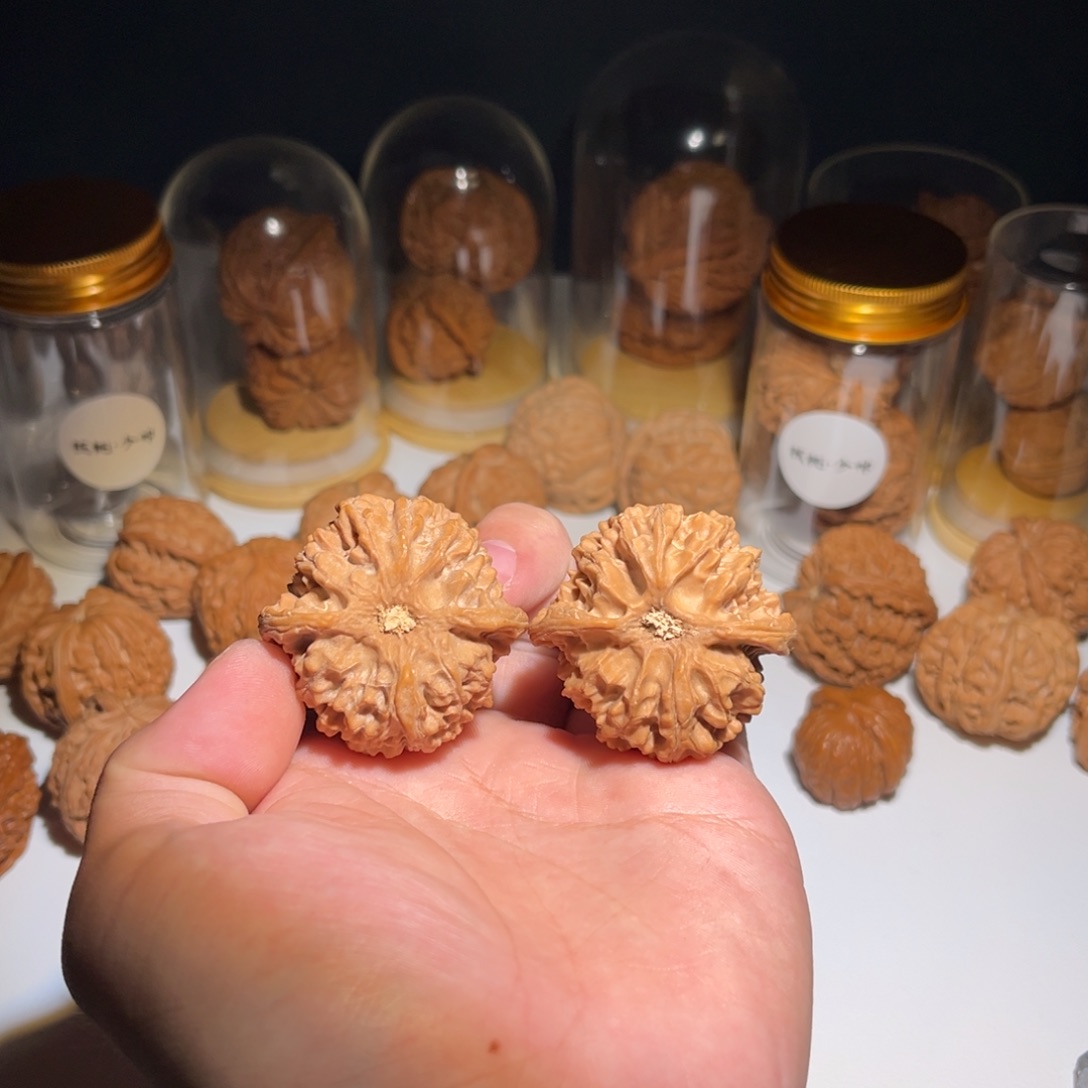 43全品苹果园核桃核桃