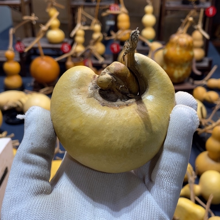 雷*哈哈哈哈哈哈哈哈哈