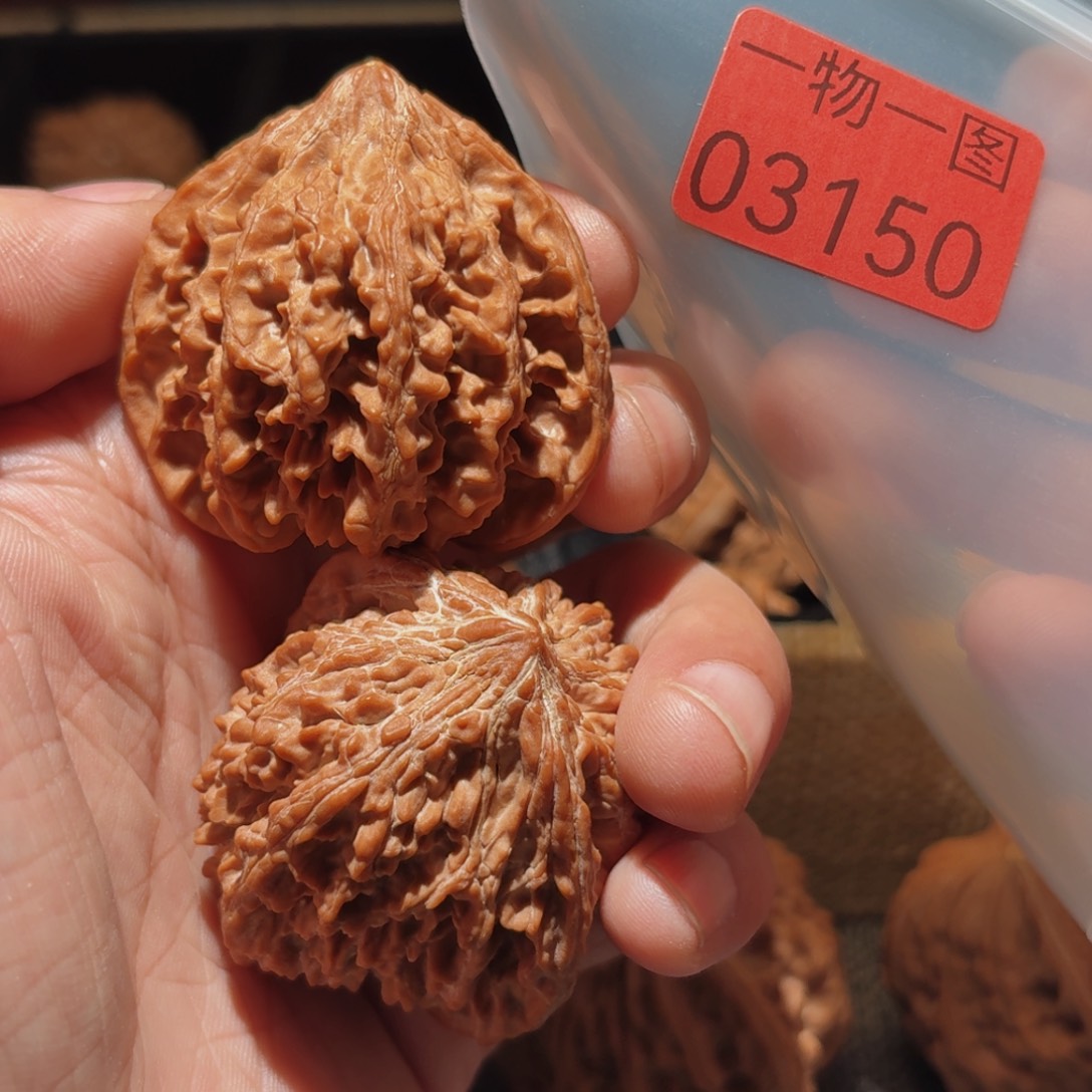 文玩核桃把件满天星