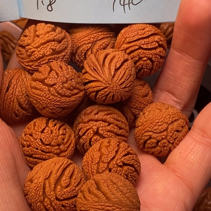 吊坠桃核秦岭龙纹桃核18尺寸