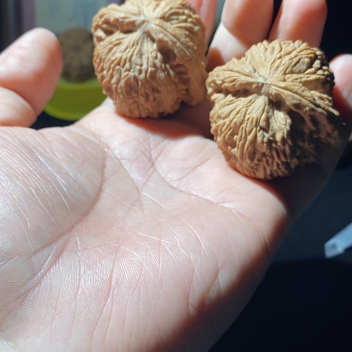 -***i文玩核桃吊坠白狮子