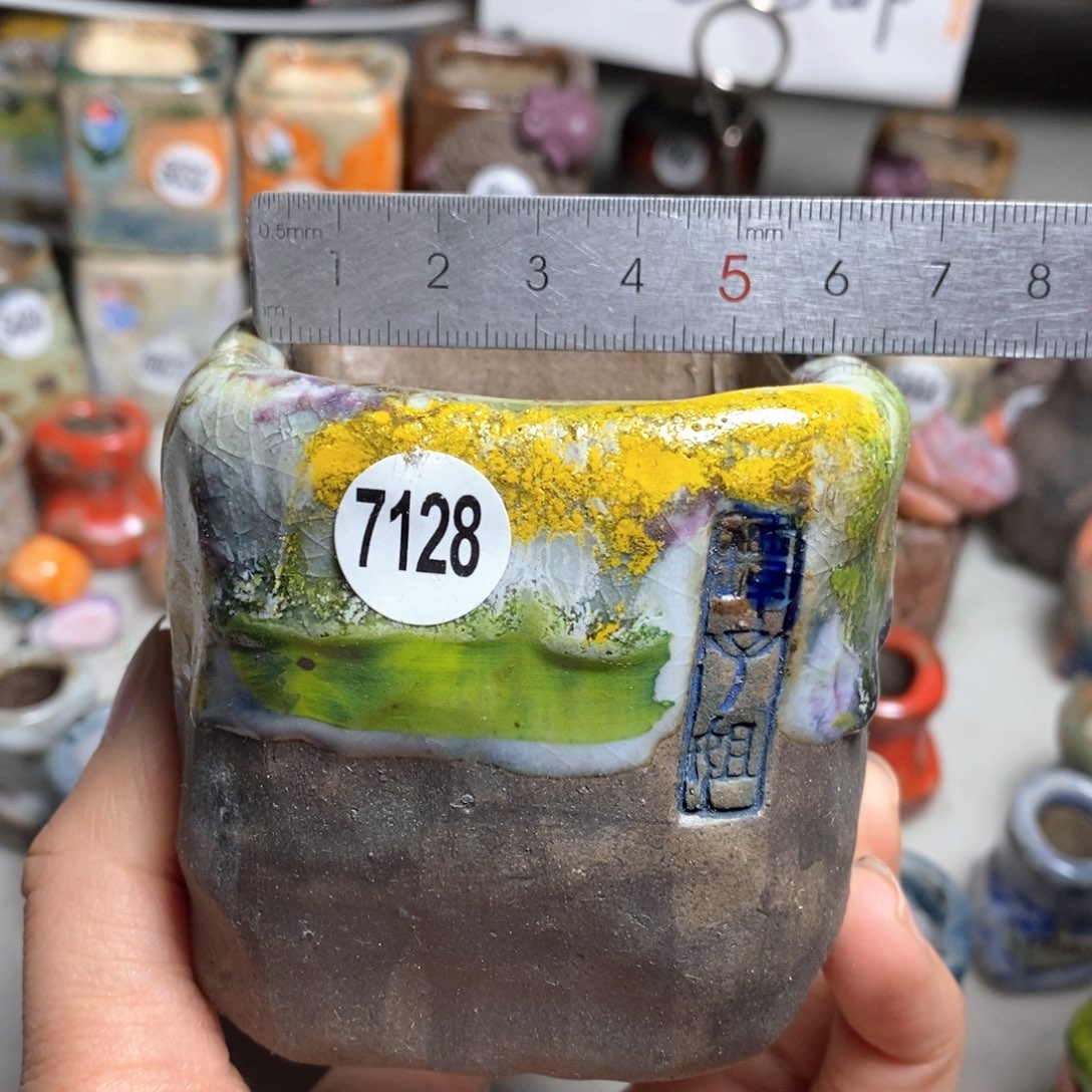多肉花盆拍3送一个小礼物