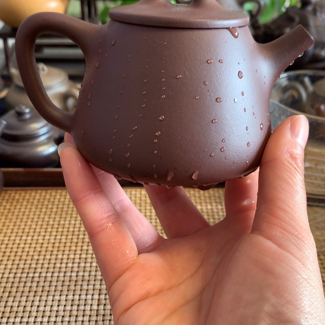 紫砂茶壶宜兴原矿底槽清200cc