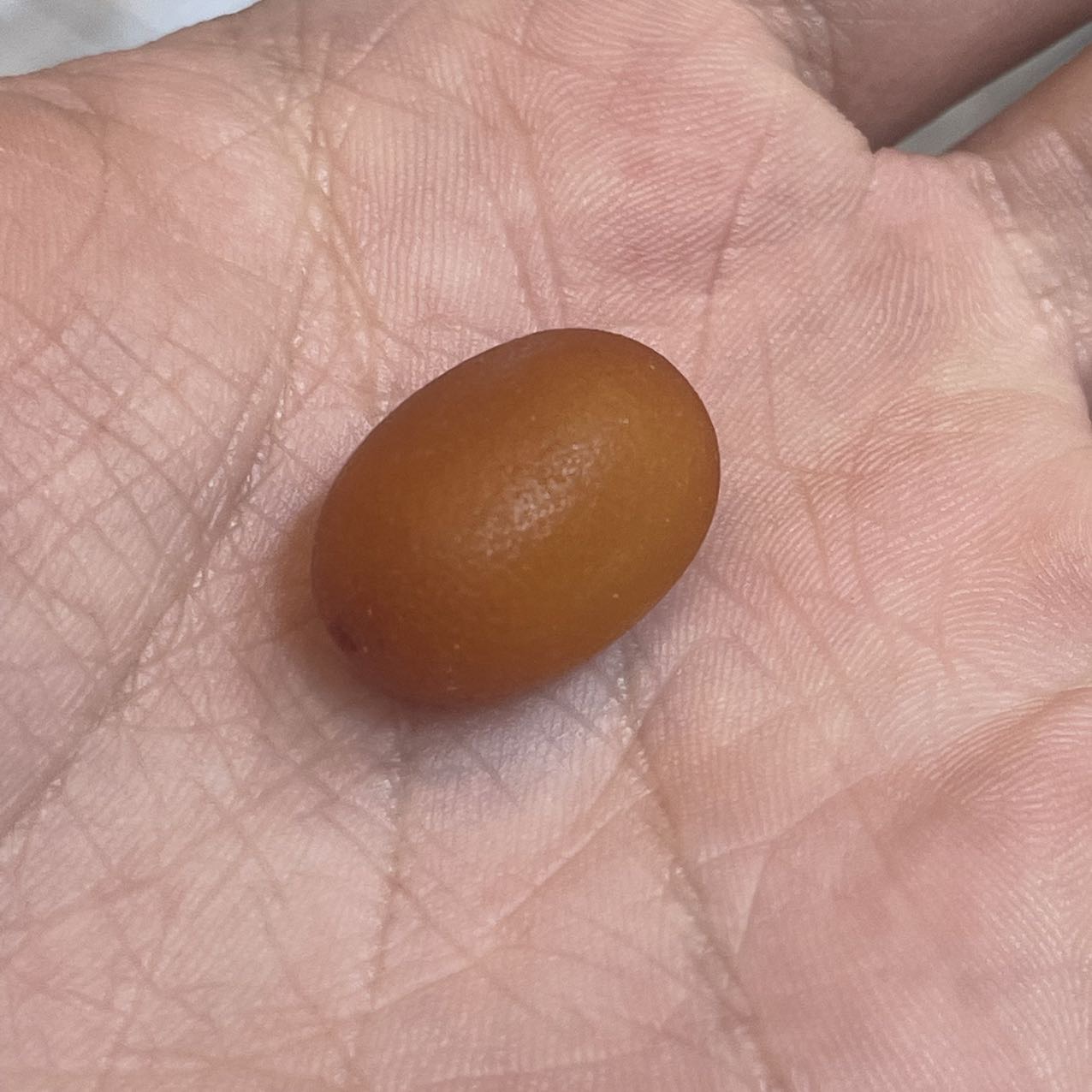 【阿钰推荐】LY82109-蜜蜡老蜡枣珠单籽-13mm左右