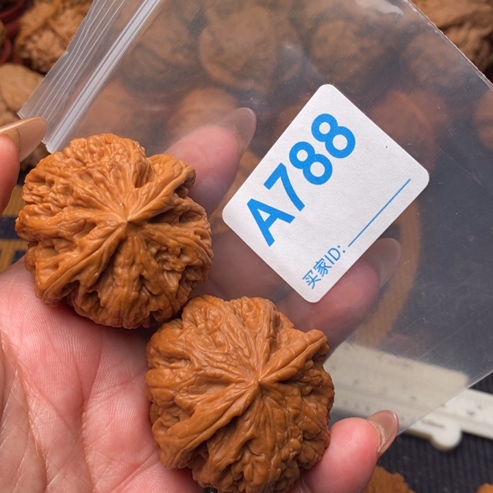 核桃把件粗筋43尺788号
