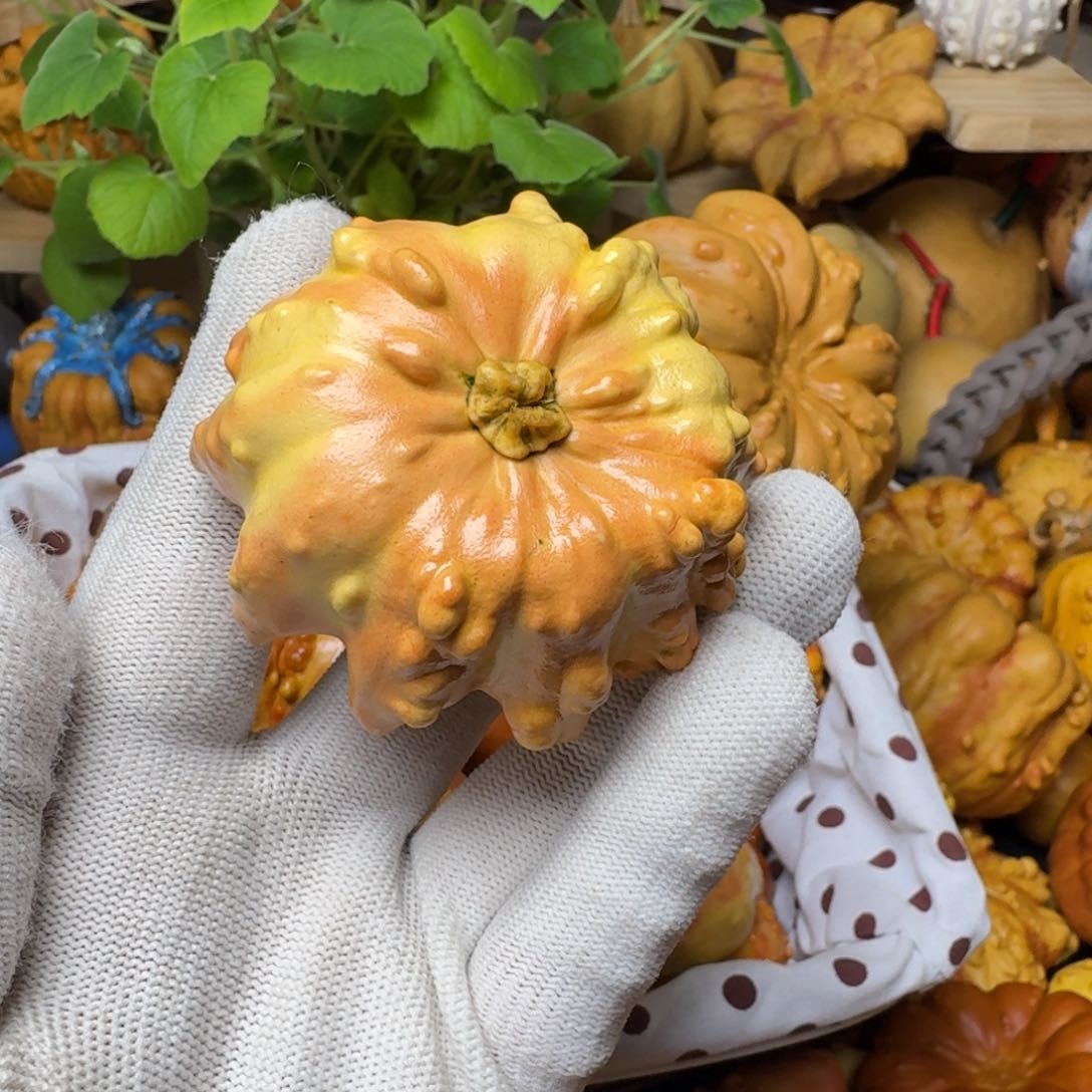小*妖特价葫芦不退不换