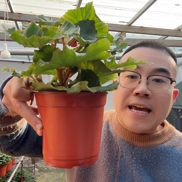 影***子完全开放红色➕保温