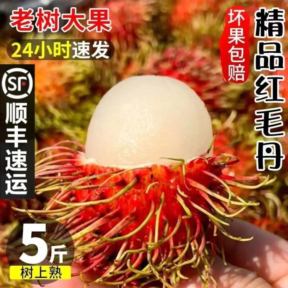 【顺丰速运】海南保亭红毛丹当季新鲜孕妇水果毛荔枝现摘整箱直发甜