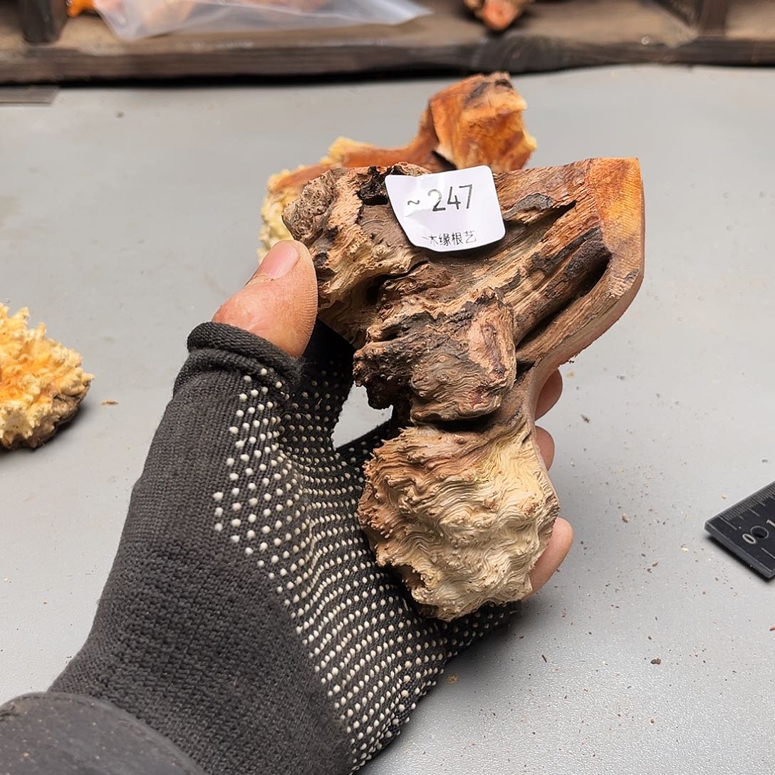 阿***坊无花朵000000000000247