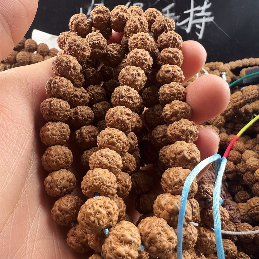 金刚菩提吊坠古树梅花10m