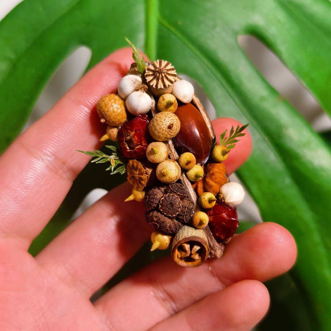 剑麻系列植物果实冰箱贴