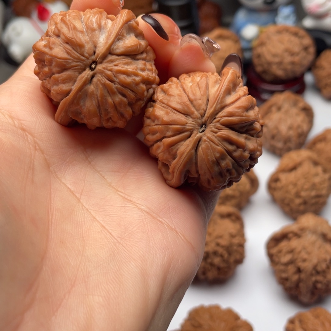 赵***涛文玩核桃莲花37尺