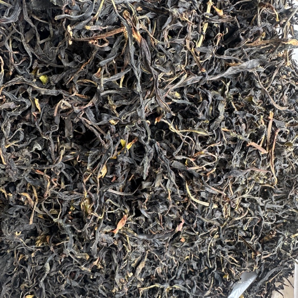 云南大雪山古树《野生生茶》