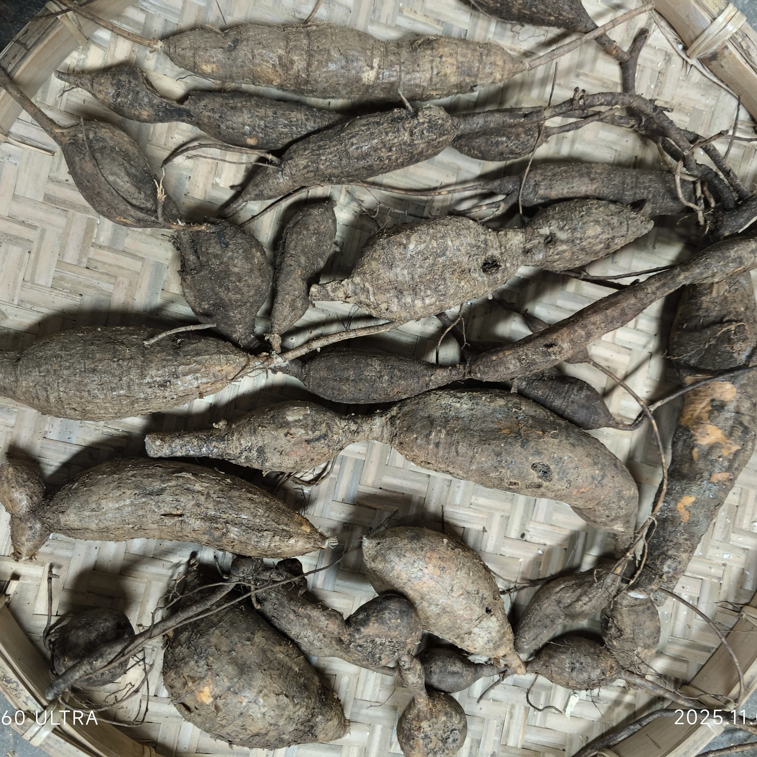 深山野生新鲜牛薯牛蛋