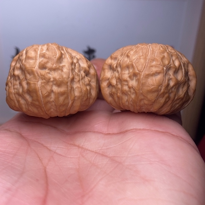 核桃全品小南瓜墩