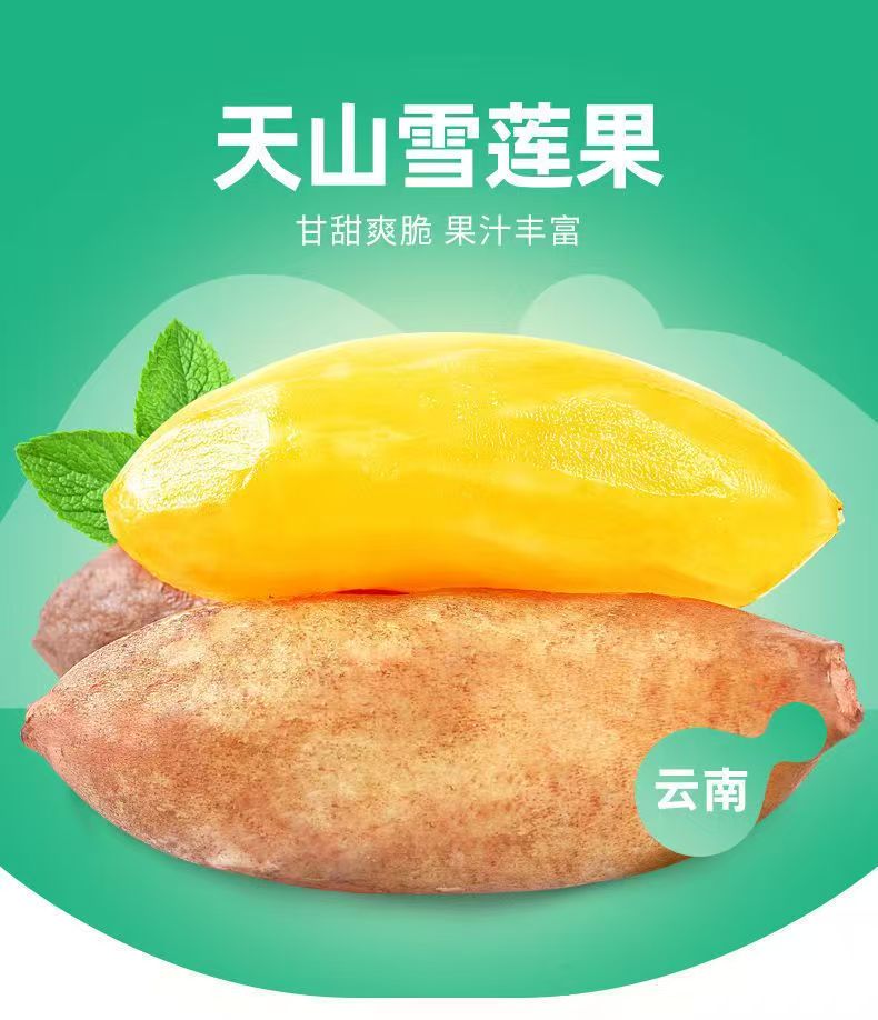 云南特产天山雪莲果新鲜水果当季孕妇水果清甜