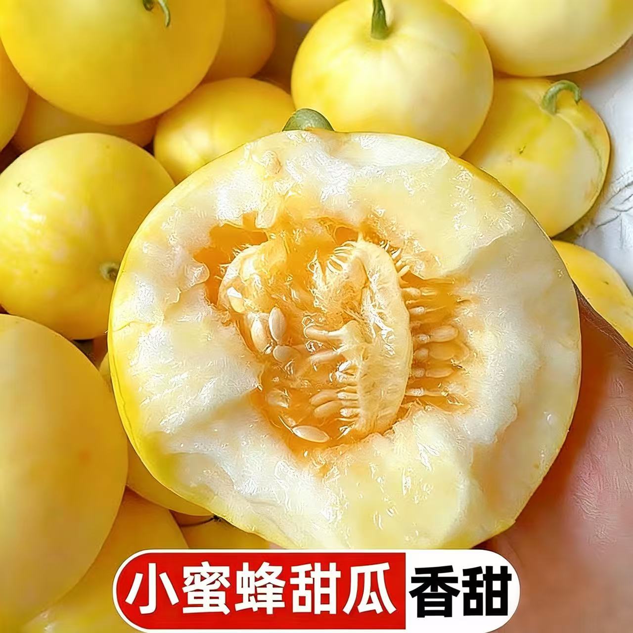 【京东快递】山东头茬小蜜蜂香瓜脆甜甜瓜新鲜水果产地直发现摘现发