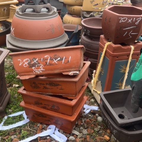 紫砂花盆紫砂花盆盆景盆栽