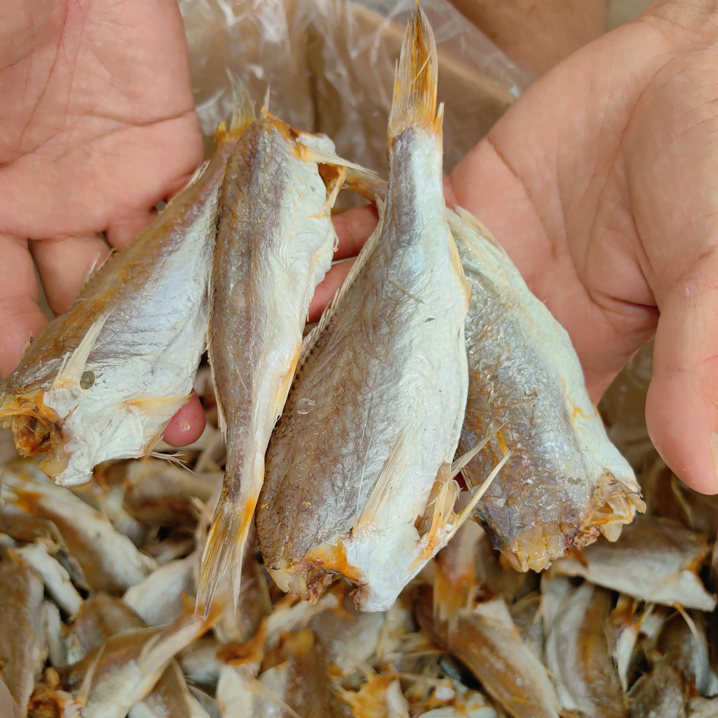天然生晒淡口黄花鱼干可清蒸油炸烘烤的海鲜干货