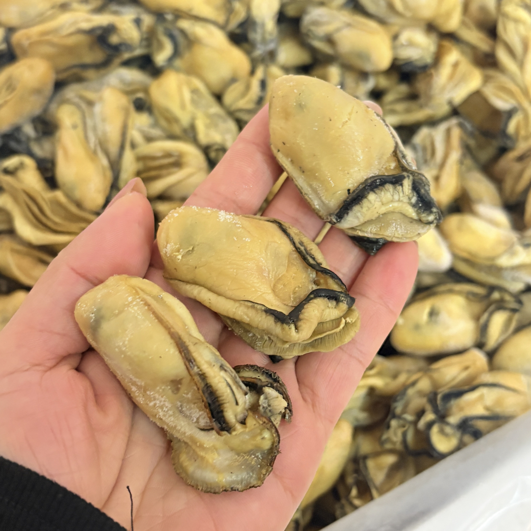 北海渔民自晒金蚝，煲汤煲粥焖煎香煮，提鲜营养好5.6成干