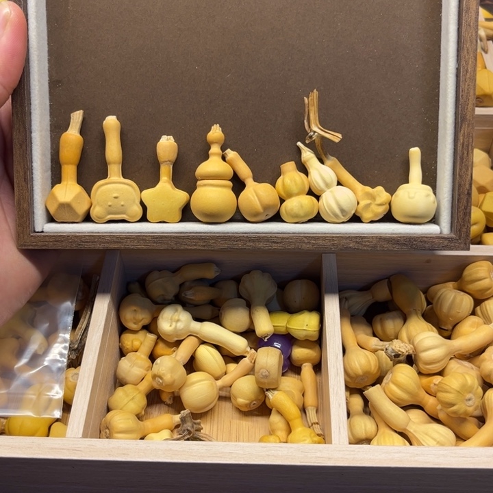 小*雯葫芦888葫芦