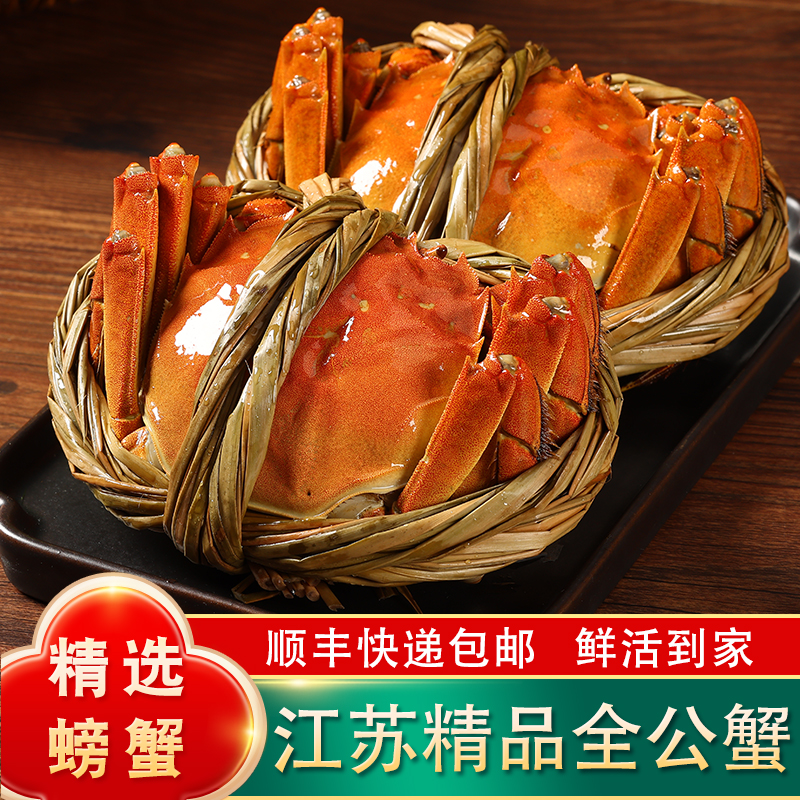 【江苏活蟹】大闸蟹全公精品蟹【4.3-4.0两】8/10只礼盒装顺丰包邮