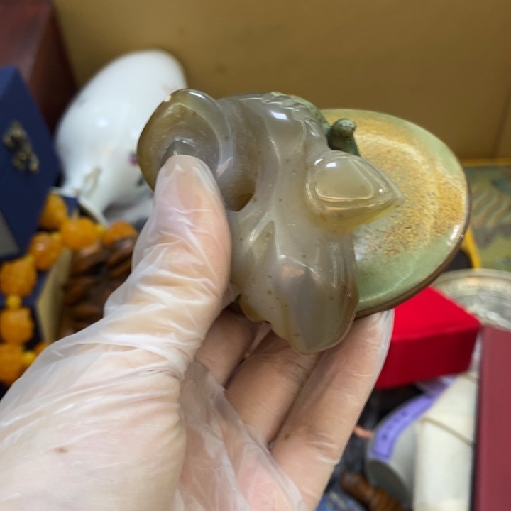 瓷片哦哦哦哦哦哦哦哦