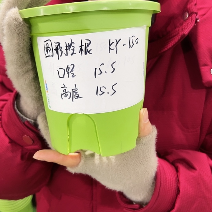 正品圆控口15高15白色带托10只