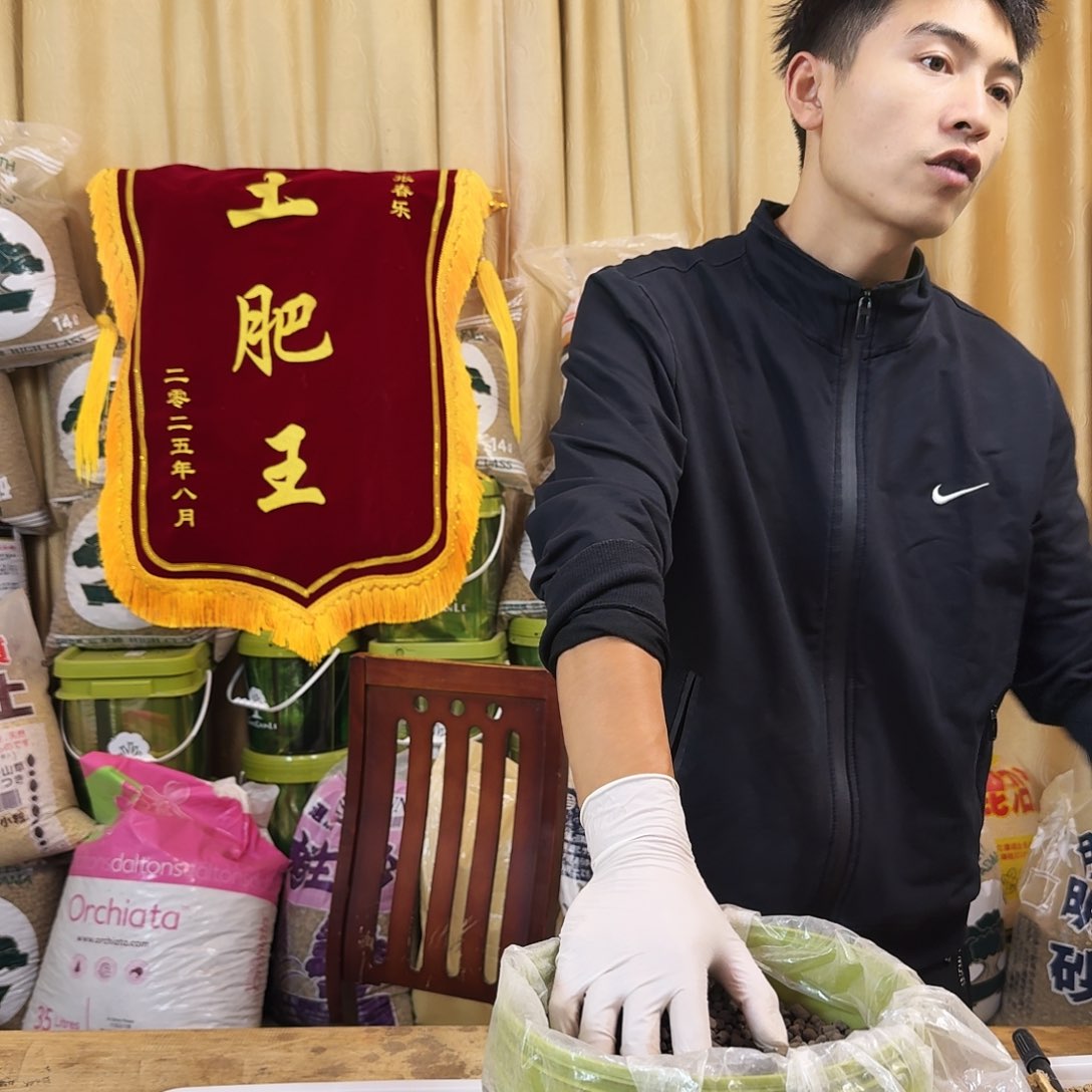 张春乐进口颗粒肥十斤桶装包邮