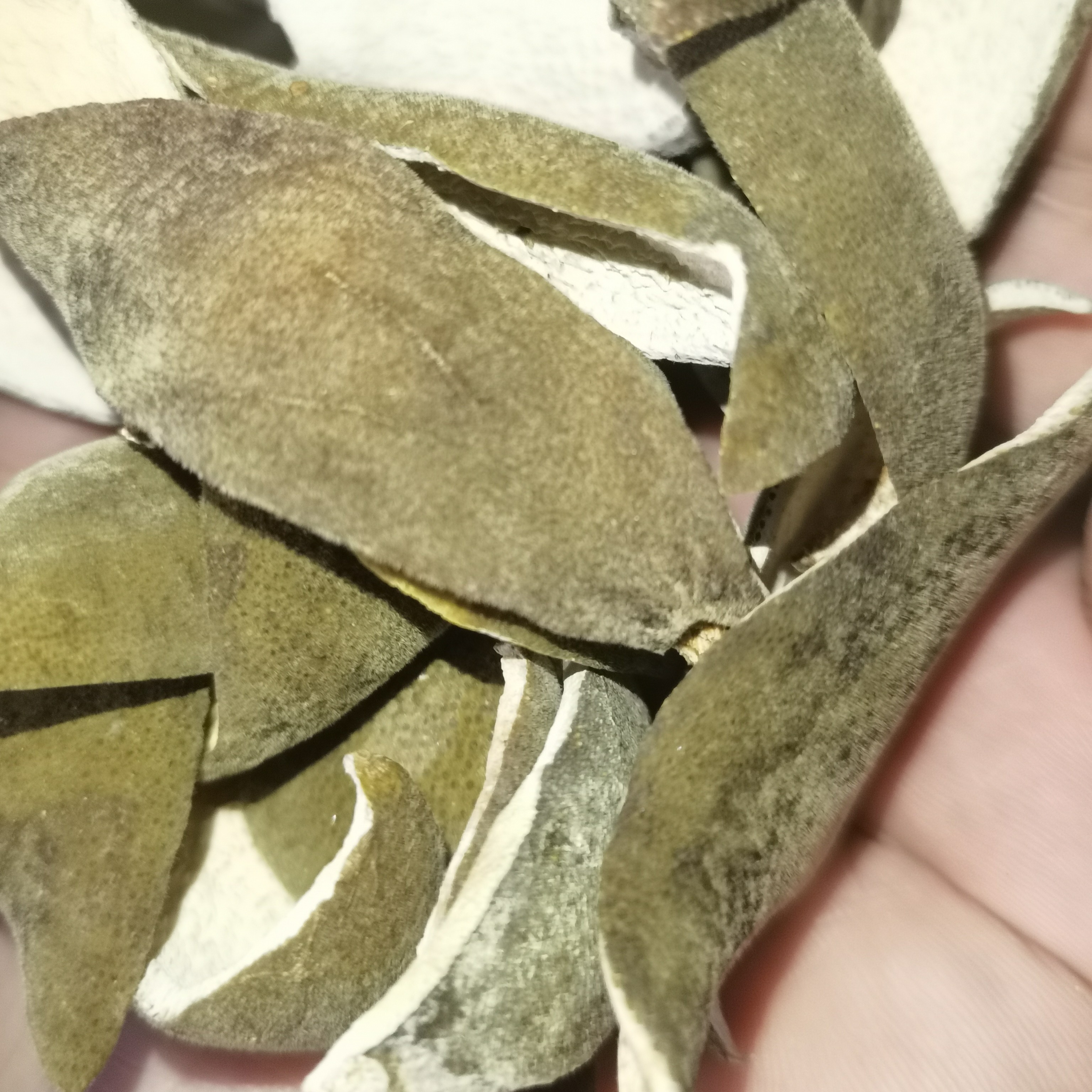 正宗化州大岭老树化橘红鲜果薄单爪皮