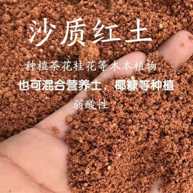 圻蕊花舍茶花桂花等花卉专用土酸性土壤