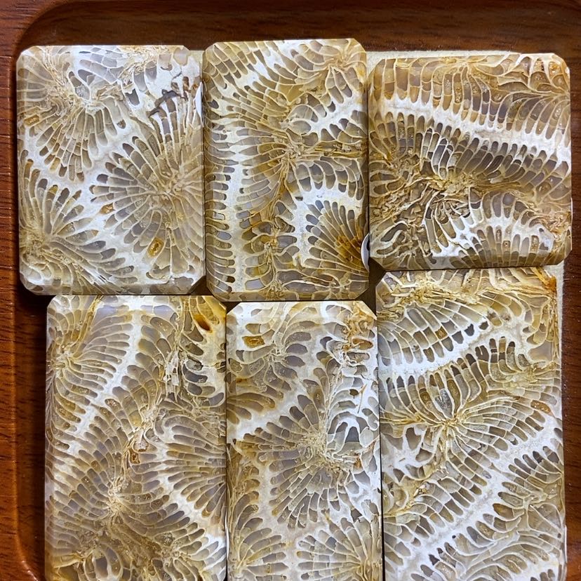 【闪购商品】硅化珊瑚（珊瑚玉）颈饰未镶嵌K8