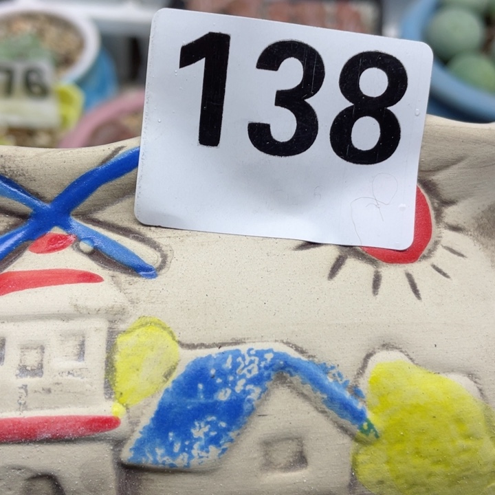 138盆零下拍保温l l