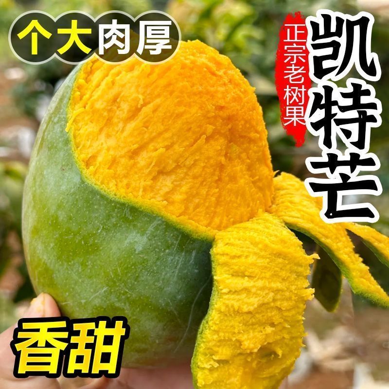 四川攀枝花青皮凯特芒果当季新鲜水果软糯甜芒果整箱产地直发dd