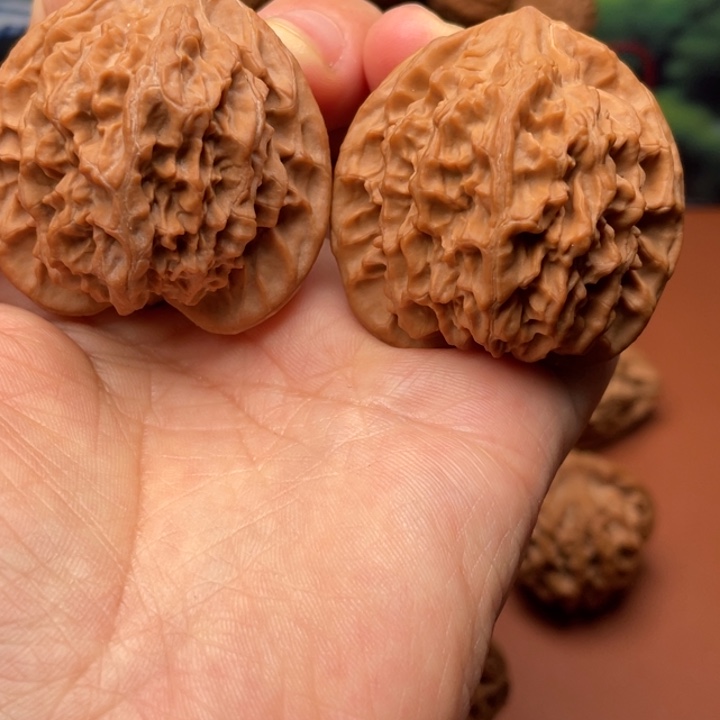 啜***、核桃秦核的一个大问题是在