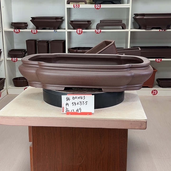 黄***园紫砂花盆海棠大号