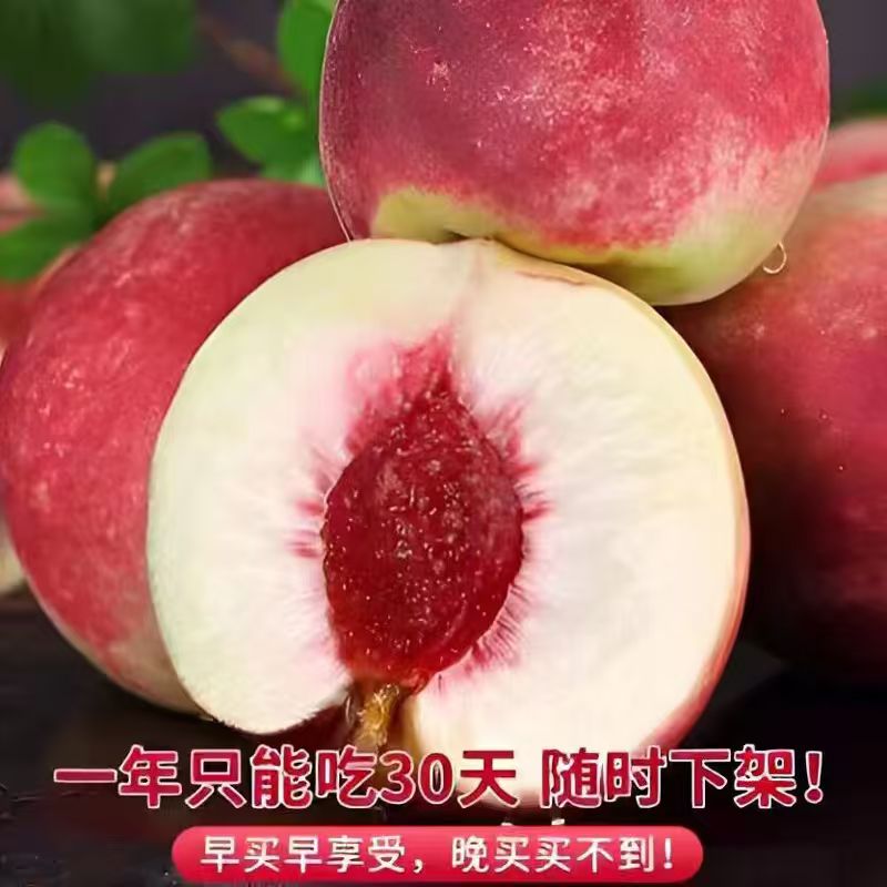 云南大理冬雪蜜桃新鲜应季脆甜多汁离核水果
