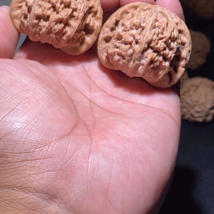 把件文玩核桃白狮子