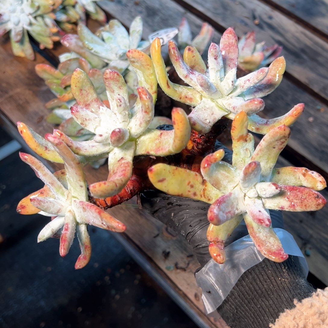 6575哈哈哈哈哈哈哈哈