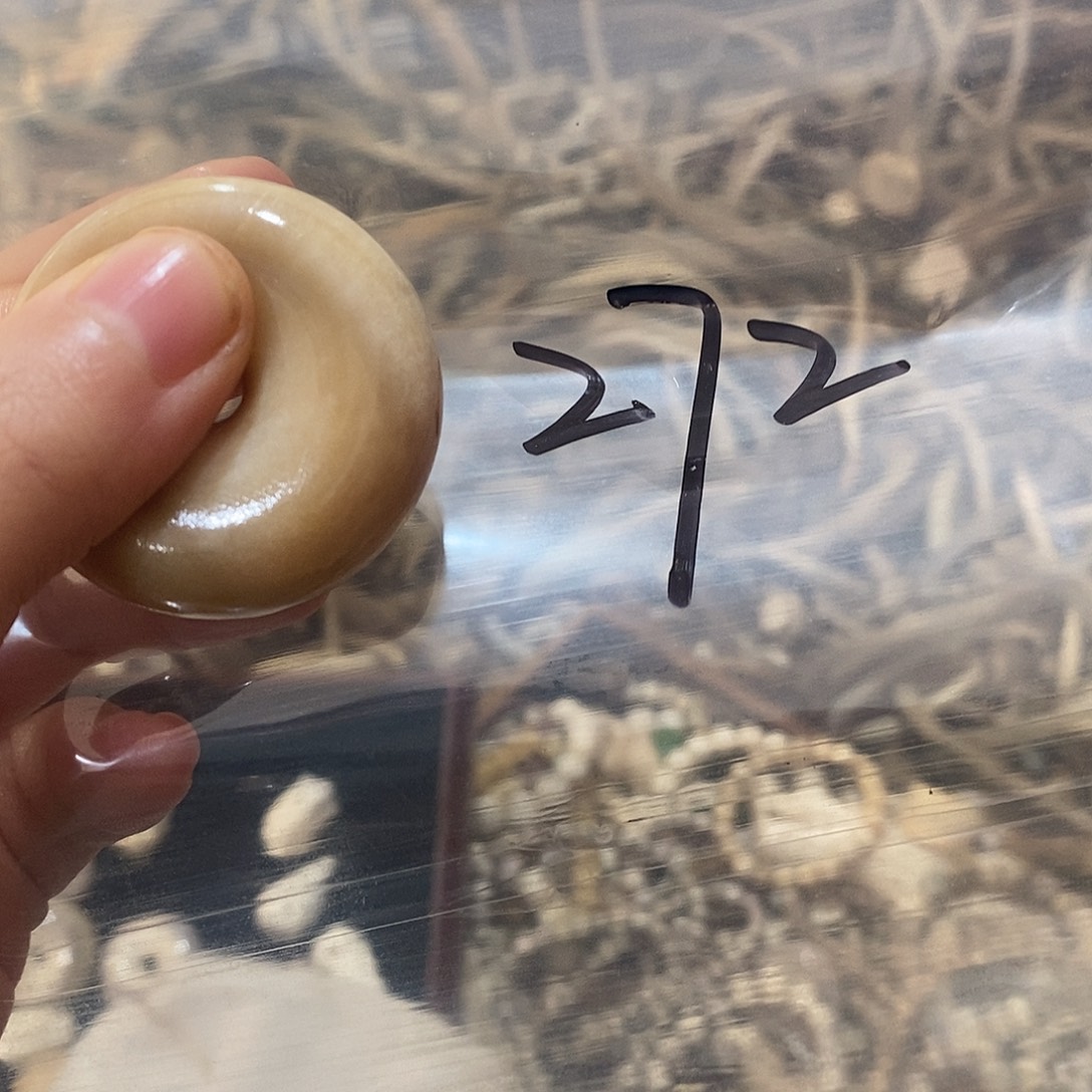 ****仔非金属鹿角鹿角鹿