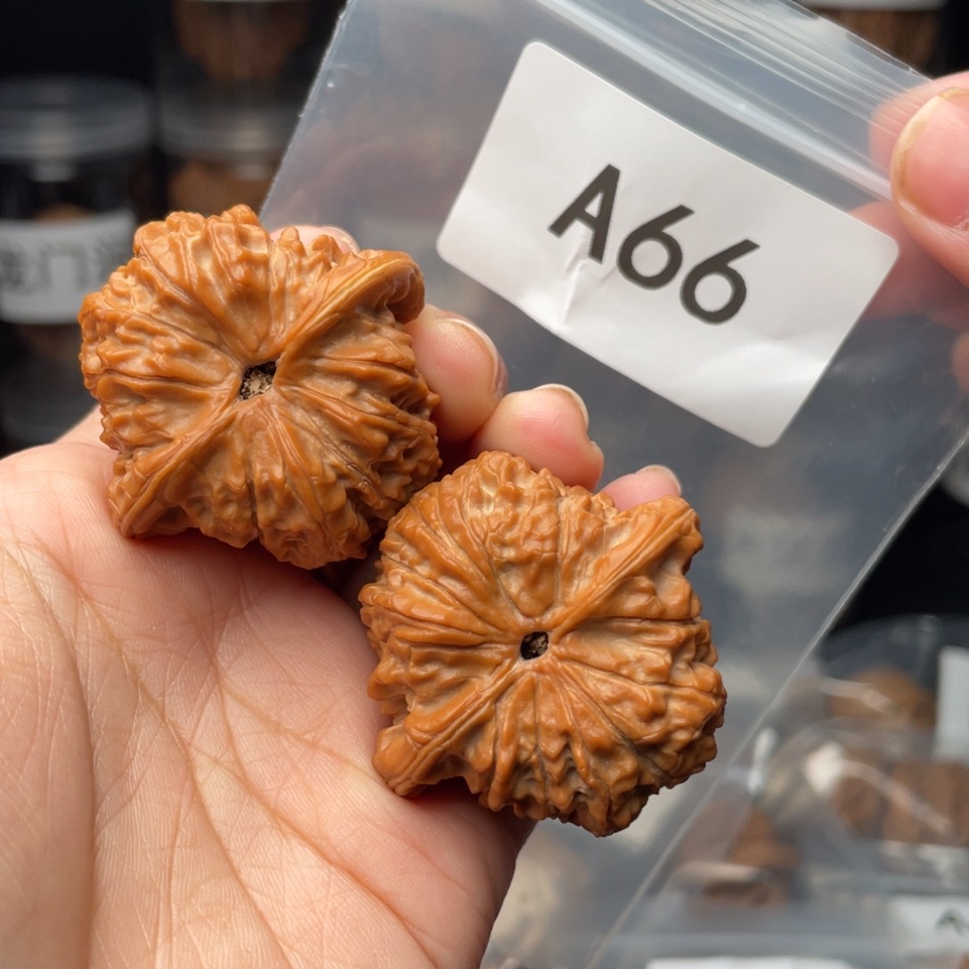 文玩核桃把件42血麒麟