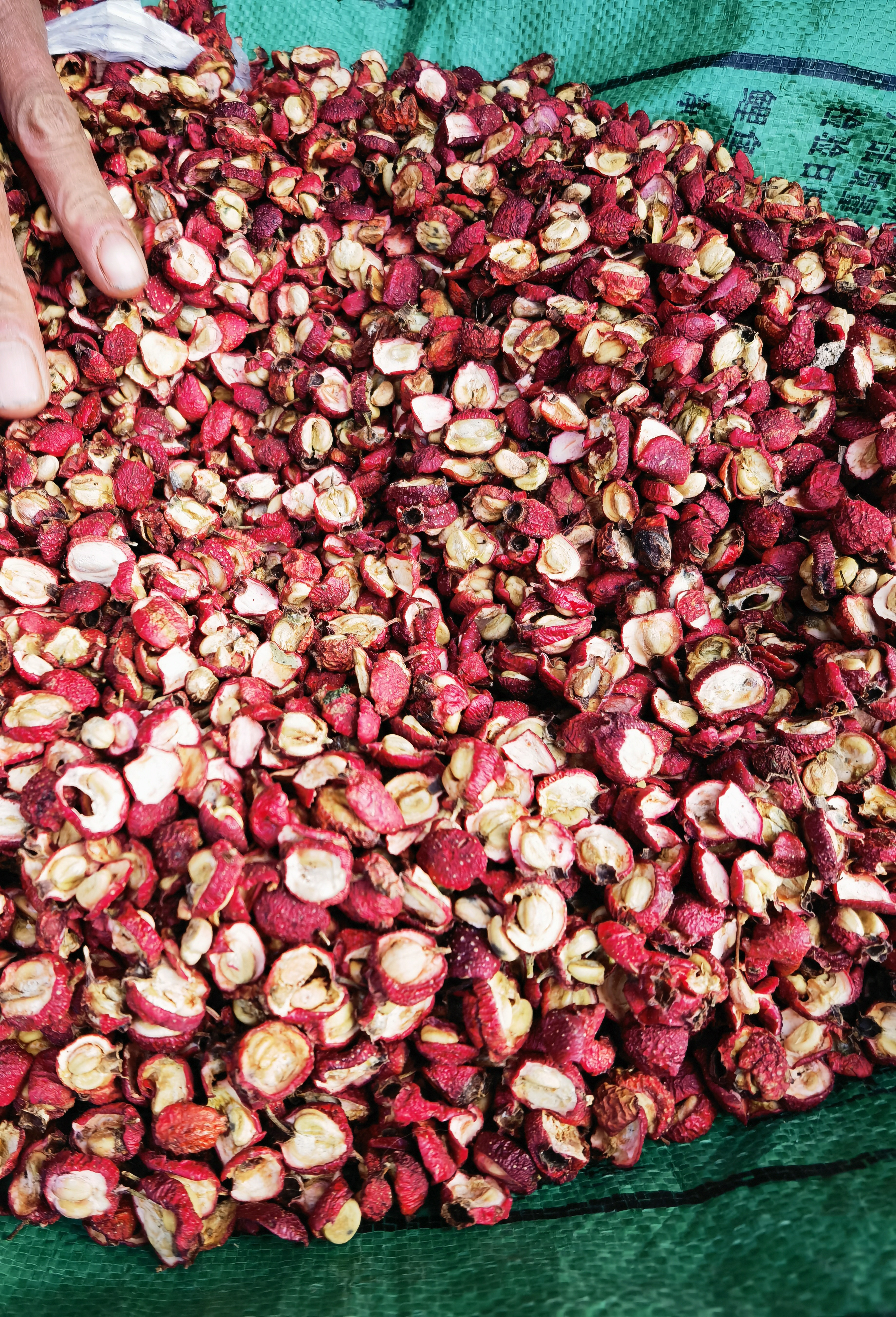 蓟县野生山楂山楂干，手工剪，自然晾晒