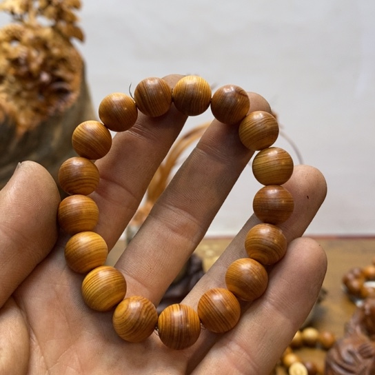 柏木（崖柏）太行崖柏