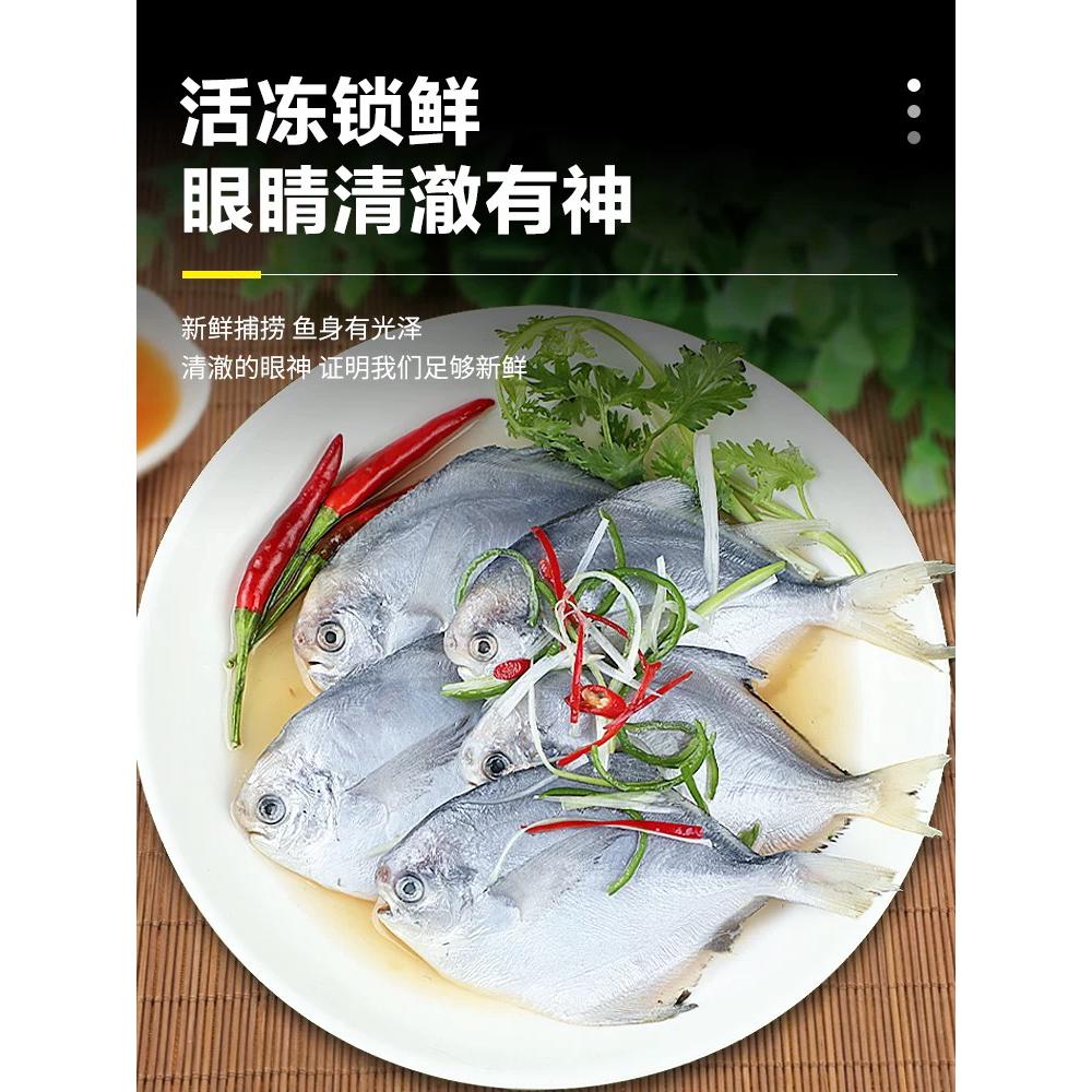  新鲜银海鲳鱼1斤4条 刺少肉嫩顺丰京东顺丰冷链发货（青）