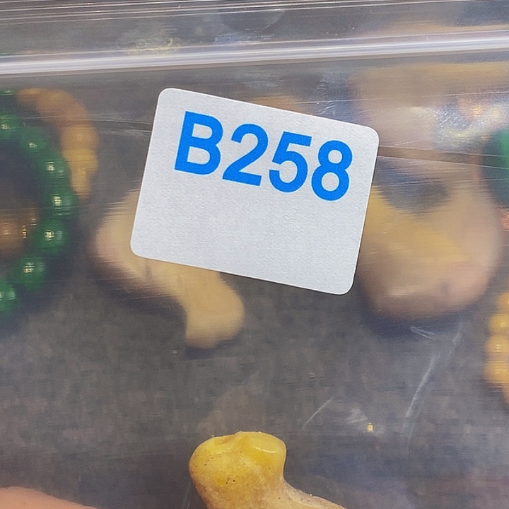香榧木香**叶黑檀木、258