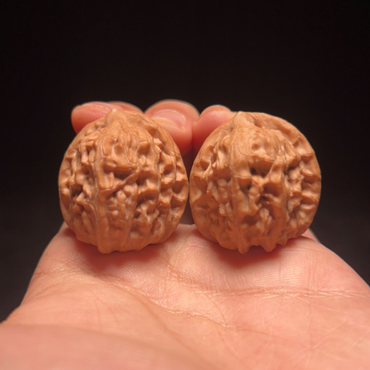 文玩核桃 原生树赤兔 12380号 32.5尺寸